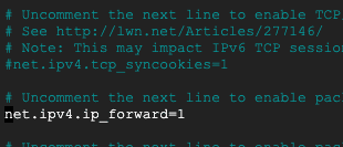 IP forwarding