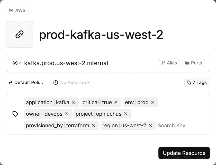 A Resource with multiple tags